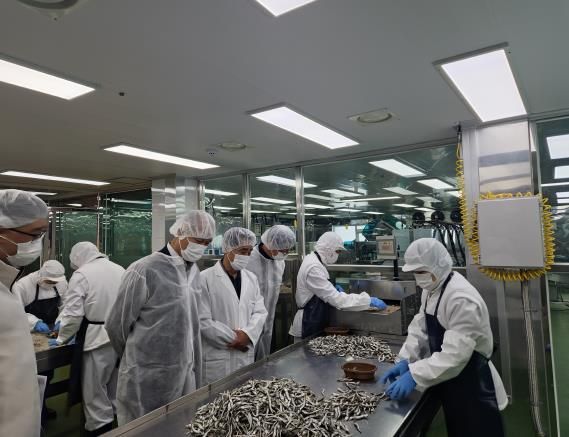 경기도농수산진흥원, 학교급식 수산물 공급업체 현장점검 결과, 위생·품질 양호