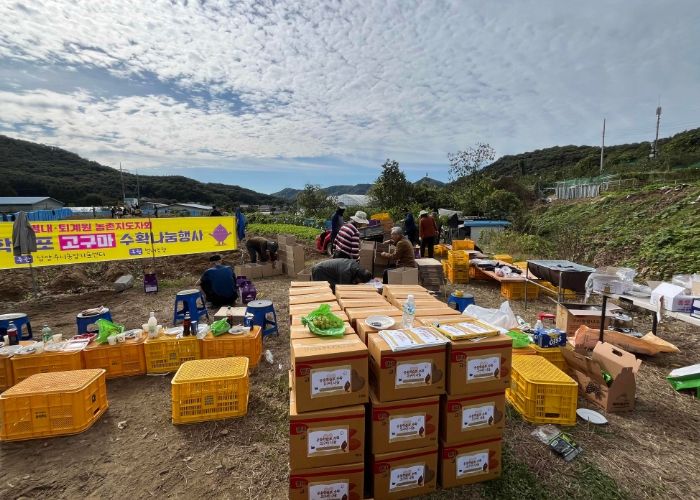 남양주시 농업인단체, 공동학습포 수확으로 ‘나눔의 농심’ 실천