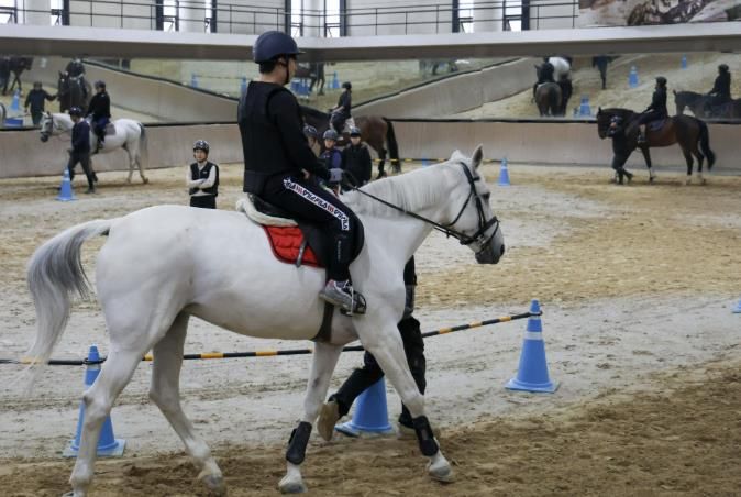 시민 무료 승마 교실 모습