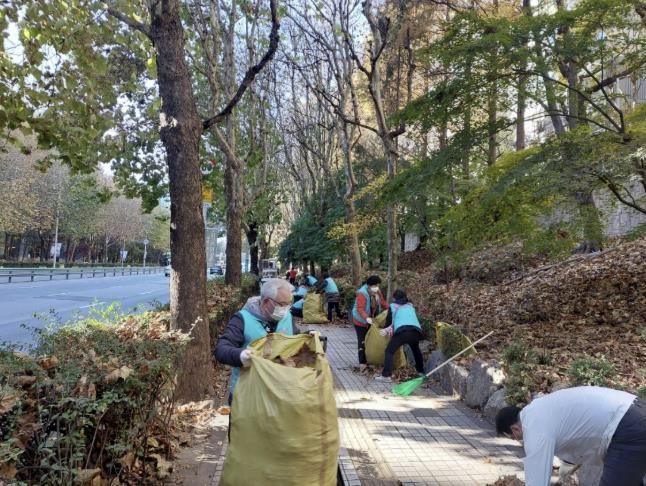 광정동 낙엽청소