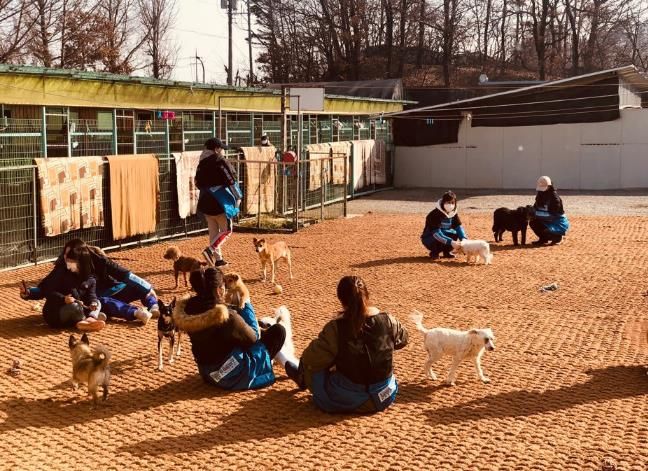 찾아가는 진료활동