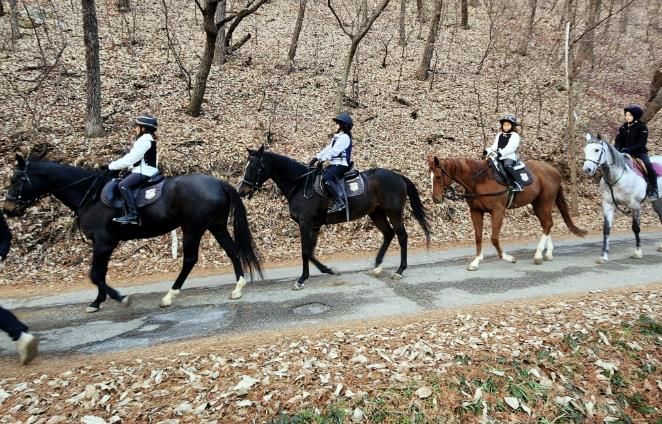 승마프로그램 진행 사진