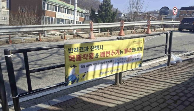 동두천시, 성숙한 반려문화 정착 위한 '반려견 배변 수거 및 안전조치 캠페인' 실시